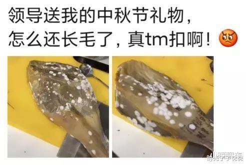 时光了了说说|“从小就很好奇这种衣服怎么上厕所？”网友的回复让我脑洞大开哈哈哈哈