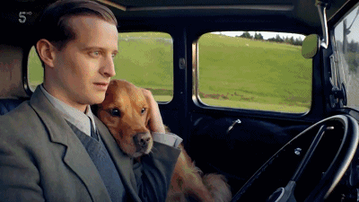 兽医|一集9.6，年度剧王回来了