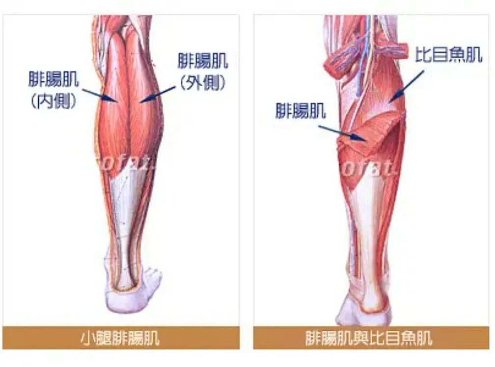 汉方医读 为了变美，真的有人愿意让自己永久残疾。细数那些“畸形”的医美项目。