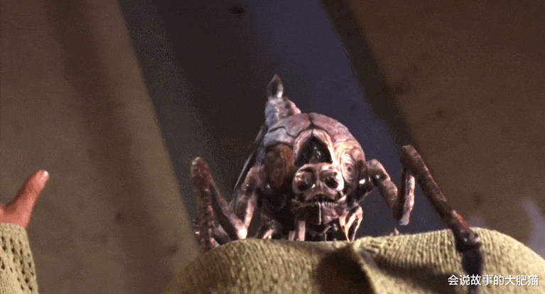 陈都灵|《迷雾》里的史前怪兽 乌鸦大的食肉蝇以及半人高的翼指鹫