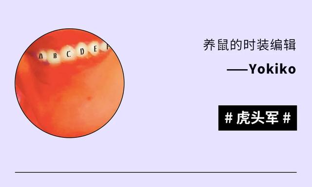 老虎 编辑部｜本周编辑推荐，元旦在家也没闲着