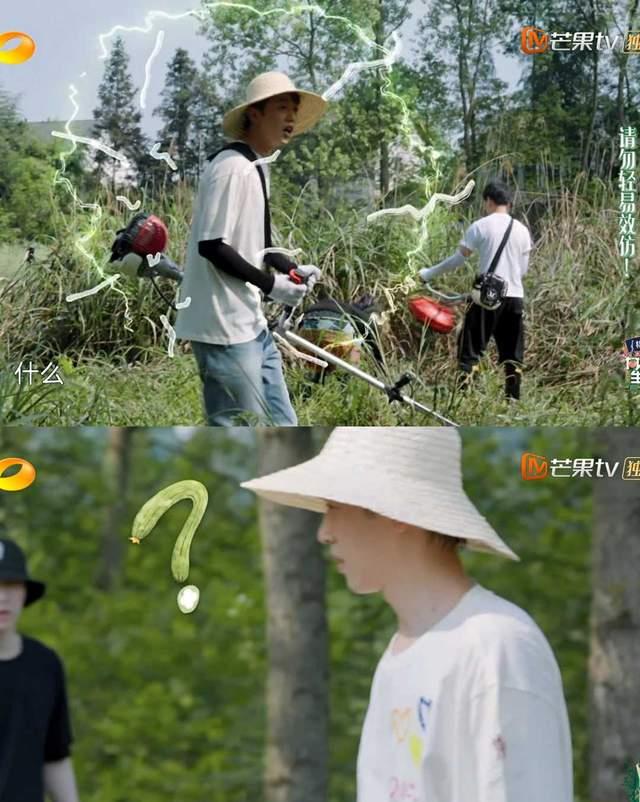 陈好|彭昱畅：师父师父，他就是梁靖康，就是他夺走了妹妹的银屏初吻