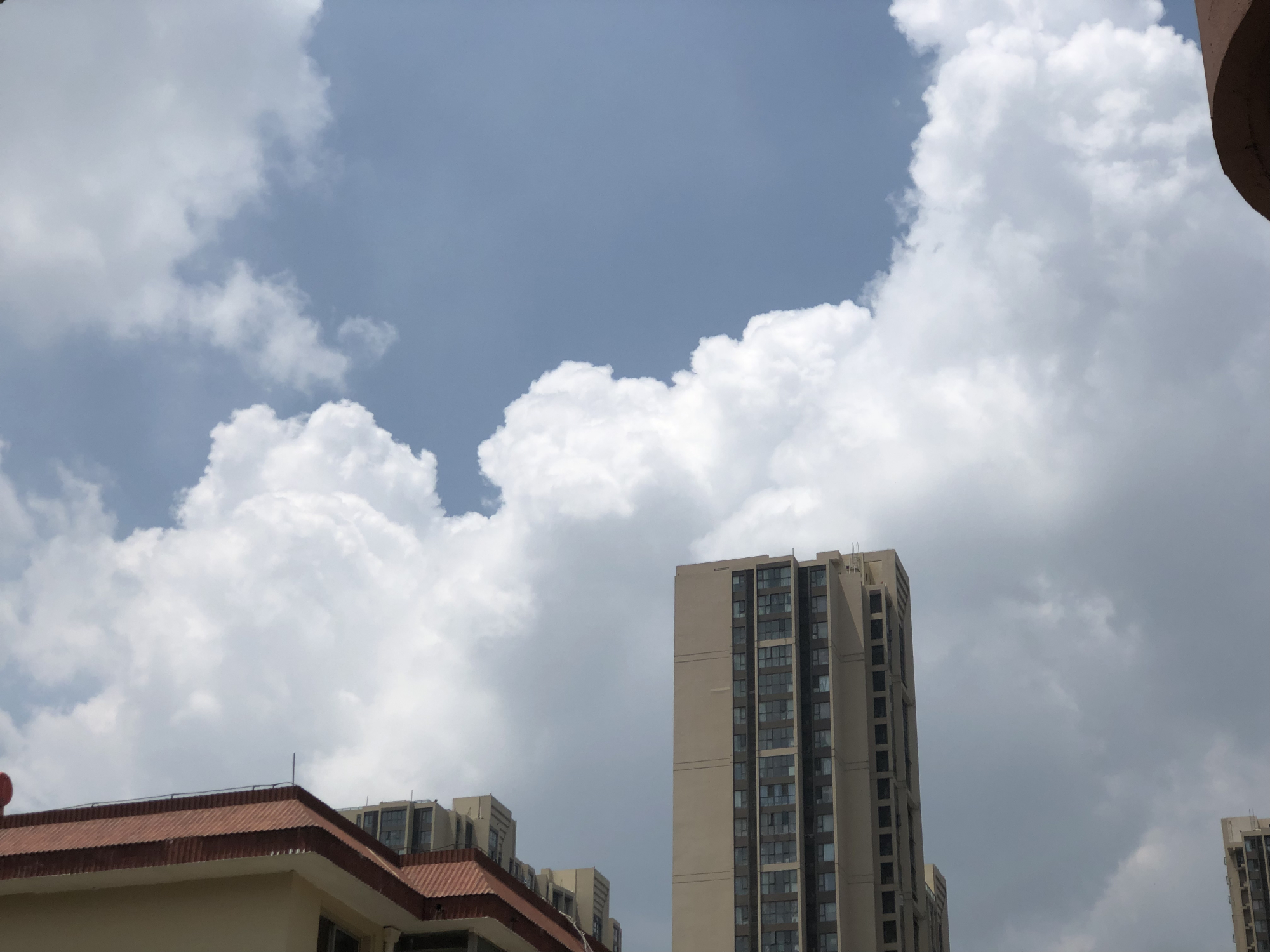 立秋|2021立秋时间表,立秋以后多吃“立秋五宝”,应季而食顺利入秋