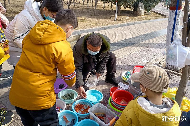 镇巴|河南安阳：年轻的宝爸、宝妈带孩子游玩不用出远门，易园里花10块钱能钓鱼半小时