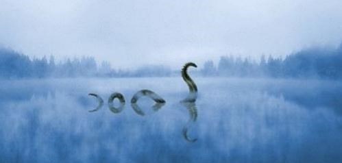 喀纳斯湖|这种鱼极其稀有，体重可达几百斤，曾被怀疑是喀纳斯湖中“水怪”