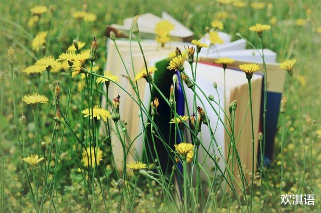 李靓蕾|李靓蕾接连发长文回应:学识有可能会“救命”