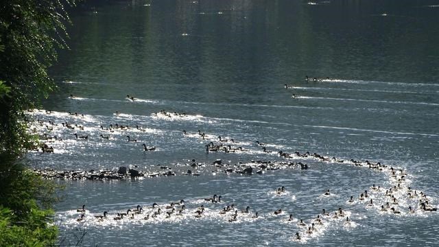 童书小窝|辽宁这个小镇被誉“小江南”，风光绝代，还藏有地质奇观