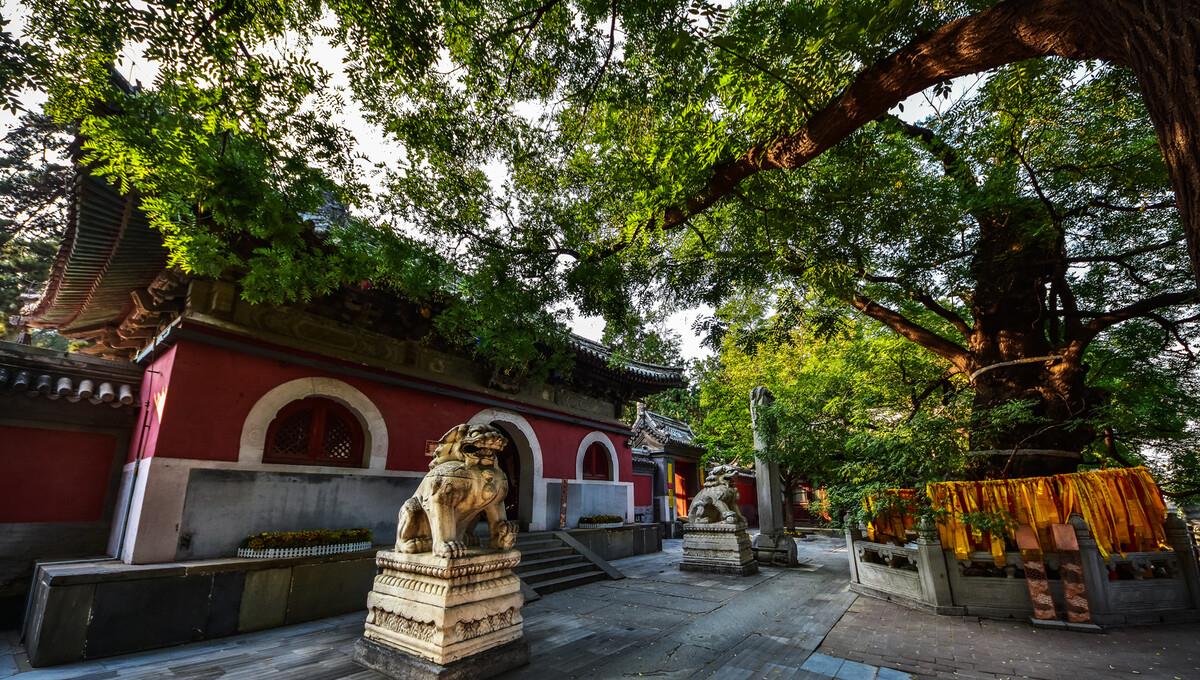 奶球妈咪聊|戒台寺:已有千年历史的寺庙,备受游客喜爱