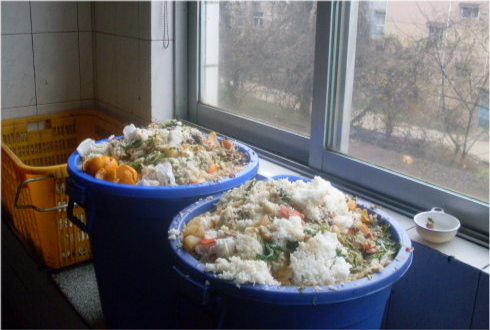 热点微评社 瞎操心!农民将“麦子制工艺品”被批浪费:多赚钱有何不好?