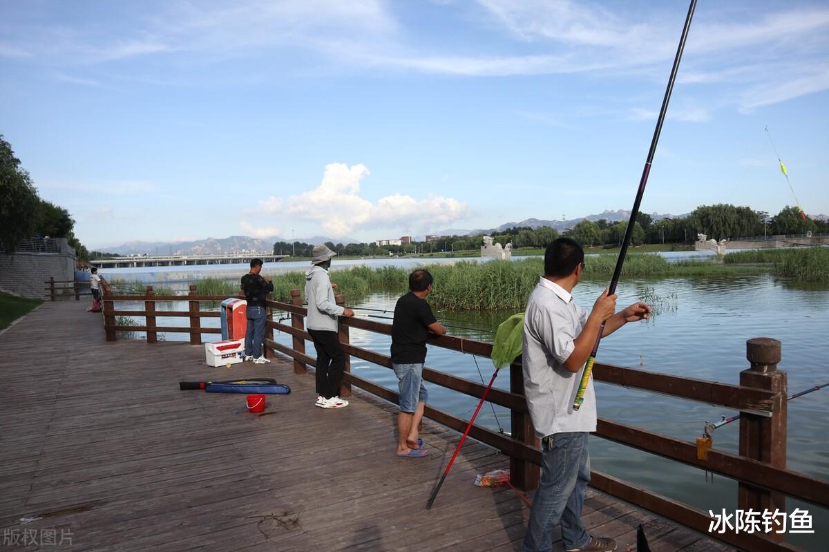 二手房|天天说“资源不好”，不如提升钓技钓法，这才是提升渔获的关键！