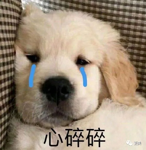 尊龙|王力宏翻车后，他成贵公子圈唯一清流了…