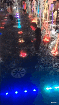 神武星人|“如果没有生殖隔离，地球会变成什么样子”评论区大神是真多！哈哈哈哈