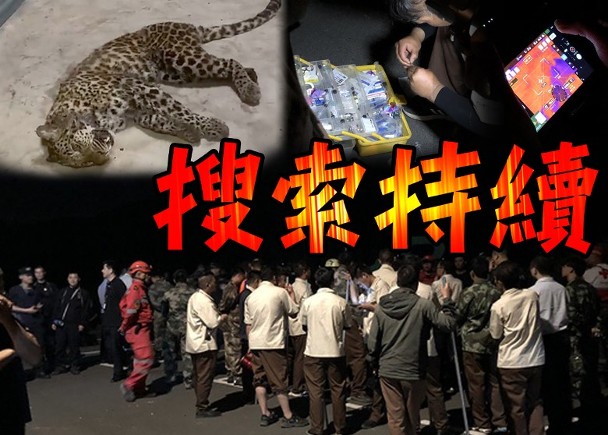 影视泛舟 浙江：杭州第2只金钱豹传右脚折断目前已捉回两只豹仍有一只豹在逃