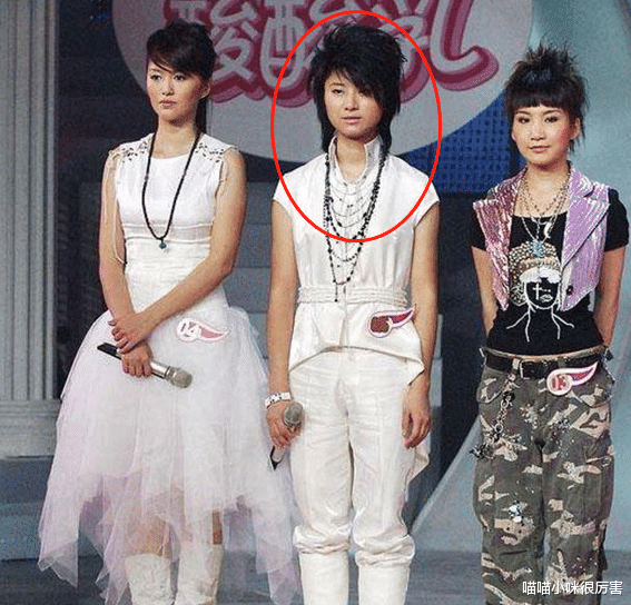 王力宏|整形演员的春天要结束了？满屏塑料脸、人造脸该消停了