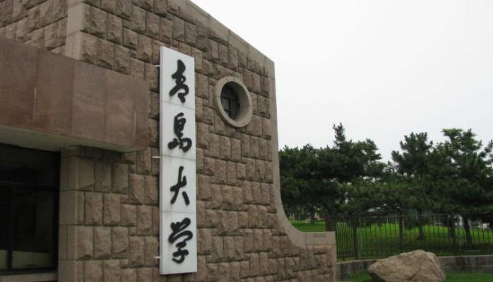 勇往直前的潇潇|山东这所大学遭“曝光”,毕业证一文不值,害人不浅,考生须注意