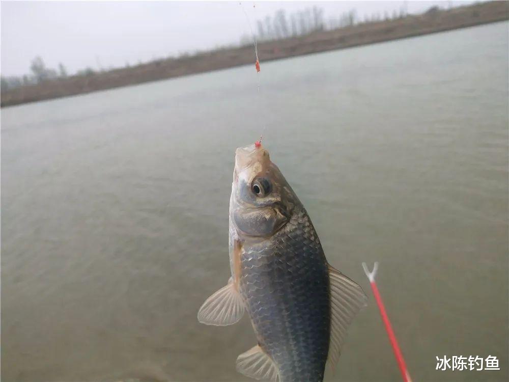 教会|窝子里究竟有没有鱼，如何能知道？这3个方法教会你判断