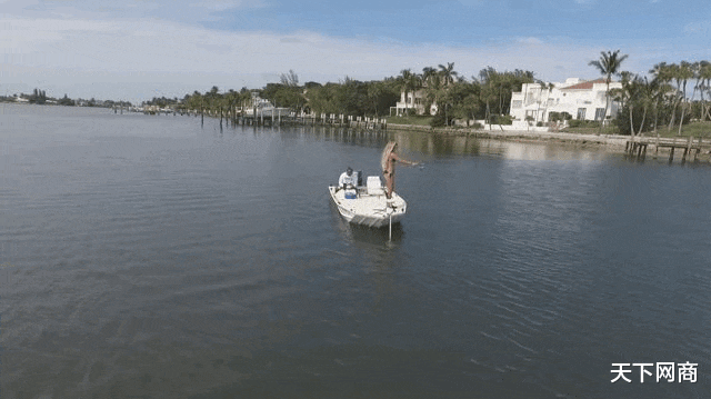 不明物体|如今的钓鱼高手,已经在用无人机钓鲨鱼了