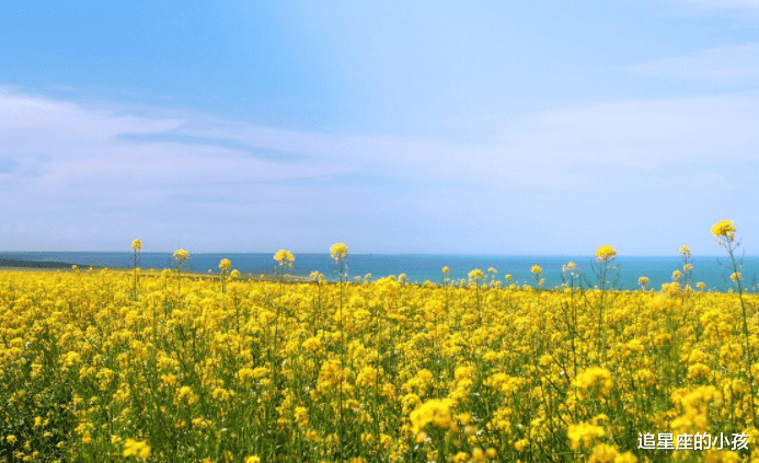 追星座的小孩|关于天蝎座，你可能不知道的一些小秘密