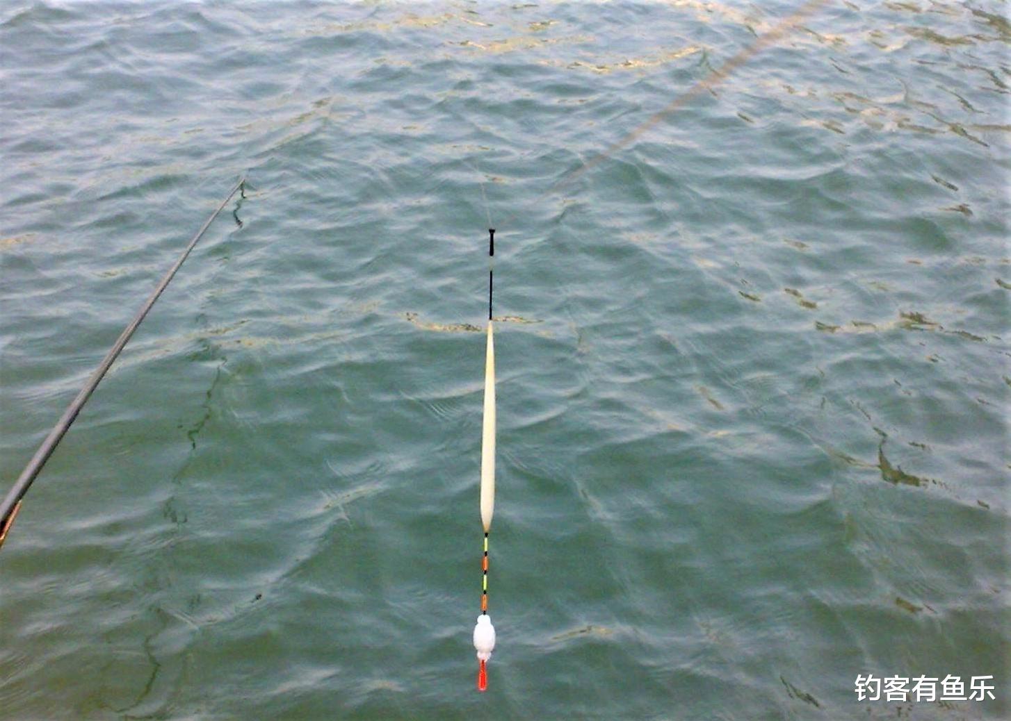 饵料|黑坑野钓这样调漂,拉鱼到爆护
