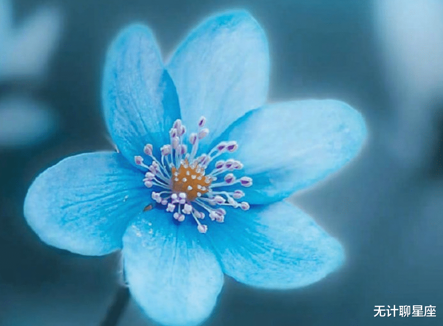 旧爱|前半生，挫折和机遇并存的4个星座，历经艰辛却不失初心