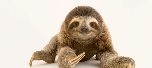  涨“姿势”了！生物课本上不会出现的，12个关于动物的小秘密