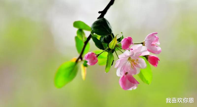 芜湖|从红颜知己到红颜祸水，只因为没有控制好感情，也许做忘年交更好