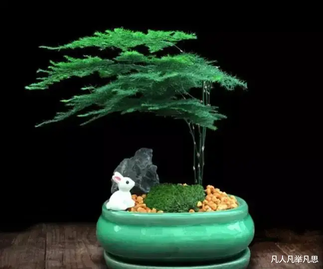 凡人凡举凡思 每个人都是老师，每个人都在影响别人