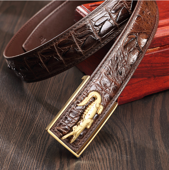 鳄鱼 鳄鱼之哀歌:一部2亿年的悲惨奋斗史,海陆双线进军,却惨败而归