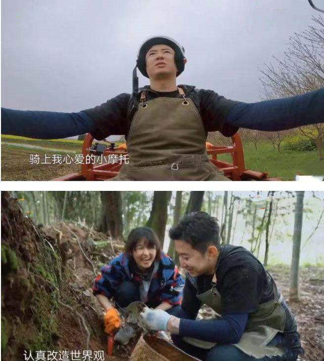 向往5|刘晓邑成《向往5》收官最大惊喜,返场两次,两次解决蘑菇屋难题