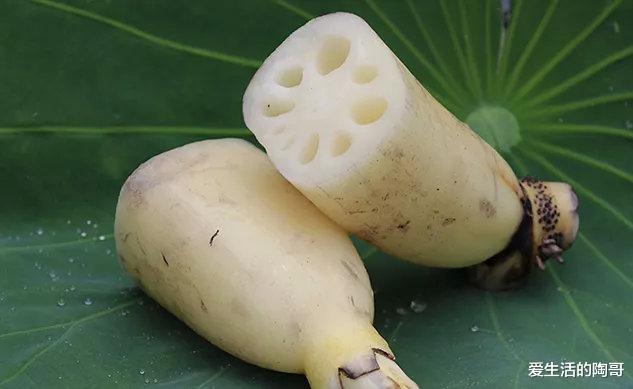 爱生活的陶哥|立秋后，食2果，吃3菜，做4事，缓解秋燥，开启秋季养生模式