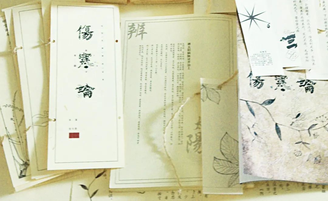 |金代名医成无己，注解《伤寒论》，促进了伤寒学派的发展和繁荣