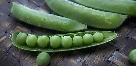 翡翠|怎么样才看得懂翡翠的种