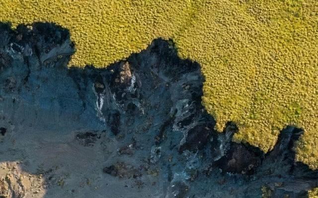  美国科学家要复活猛犸象，首批象崽将在北极放生，可能实现吗？