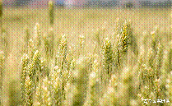 医生|多家医院联合声明：“1种油”比烟酒还毁肠道，若你家有，尽快扔掉