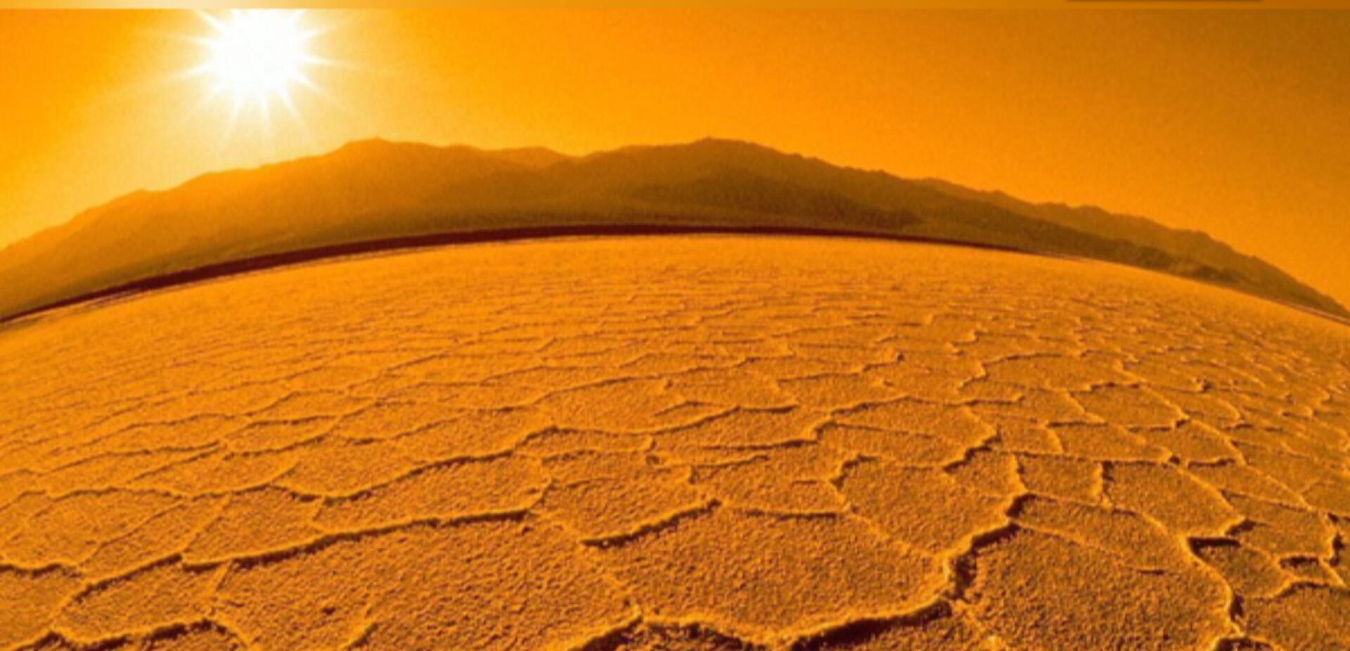 二氧化碳 4万年前，一植物泛滥差点将地球“冰冻”，如今却可能拯救人类