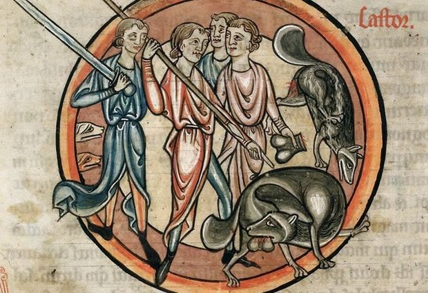  10个现在是常识，但在“中世纪”被“严重误解”的动物！