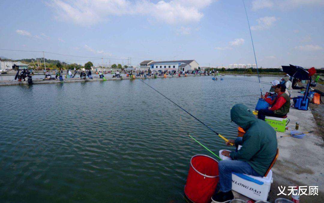 泥鳅|这七种外来鱼类早已被列入“黑名单”，钓鱼人别把他们放生！