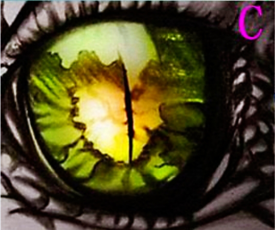 心理學：憑直覺選一隻眼睛，測出你內心有多少道未愈合的傷-圖3