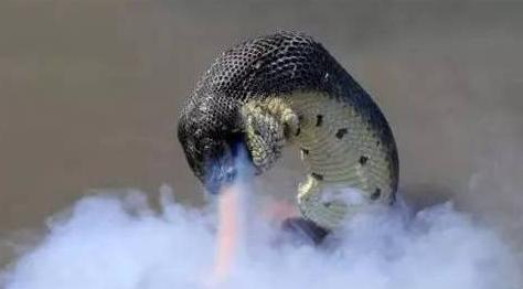 科学家 历史上发生的这六件神秘怪事, 就连科学家都难以解释