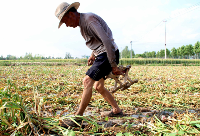 众益康|52岁大叔，坚持每天吃“六味地黄丸”，后来身体怎么样了？