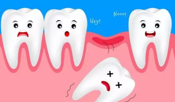 牙齿|想吃点肉都塞牙，咋整？