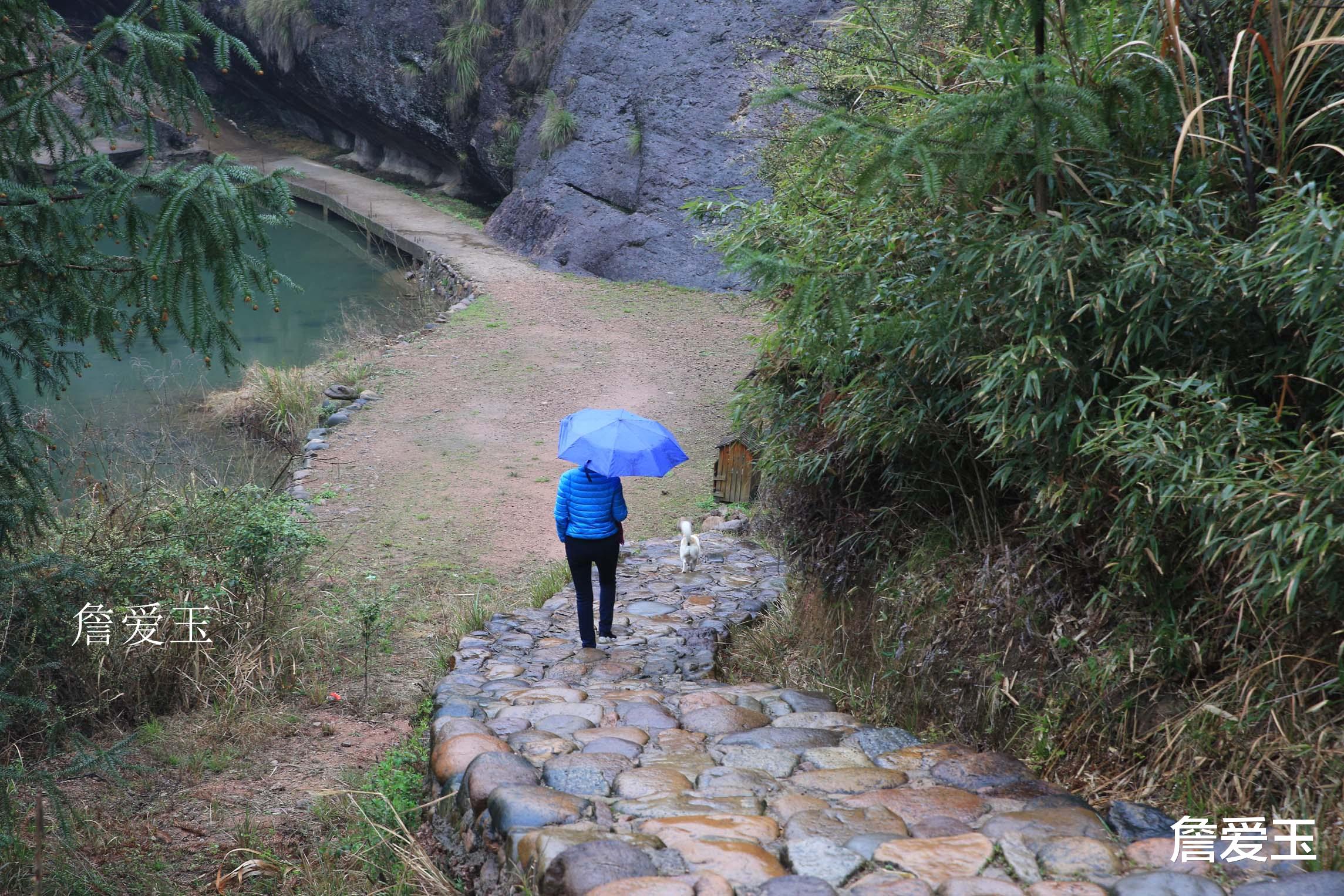 导游 上饶广丰云心谷之旅，遇上不说话的\导游\，但游客感动
