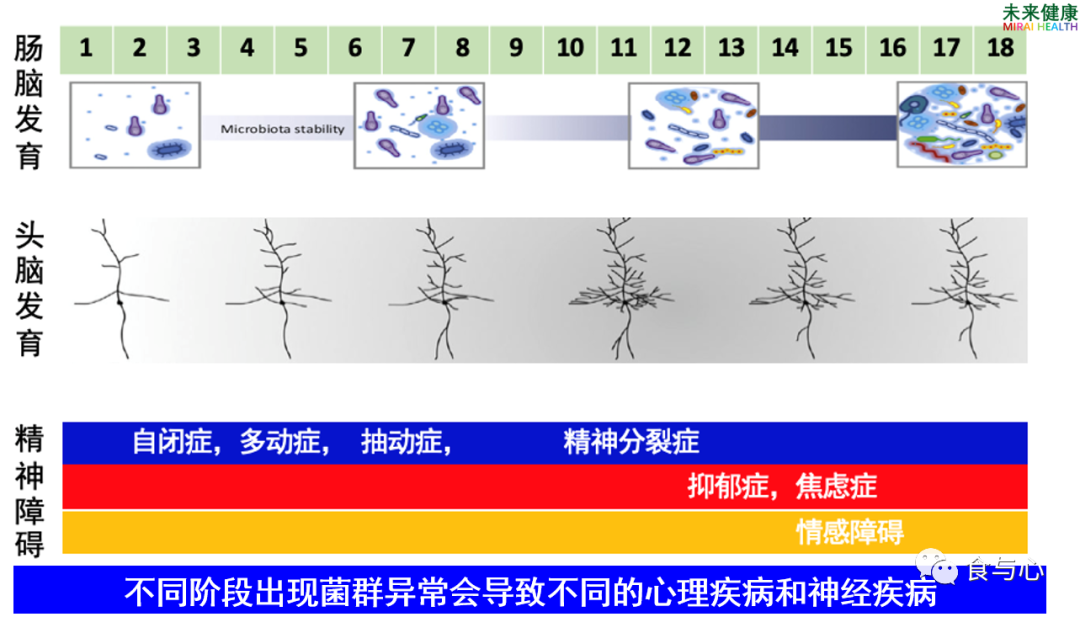 饮食|你在为谁吃饭?5—饮食不仅影响人的外貌,还影响人的心理和行为