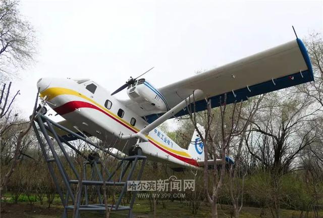 哈尔滨新闻网 好多美图｜景美人少不堵车，香坊10个免费大公园五一来逛逛