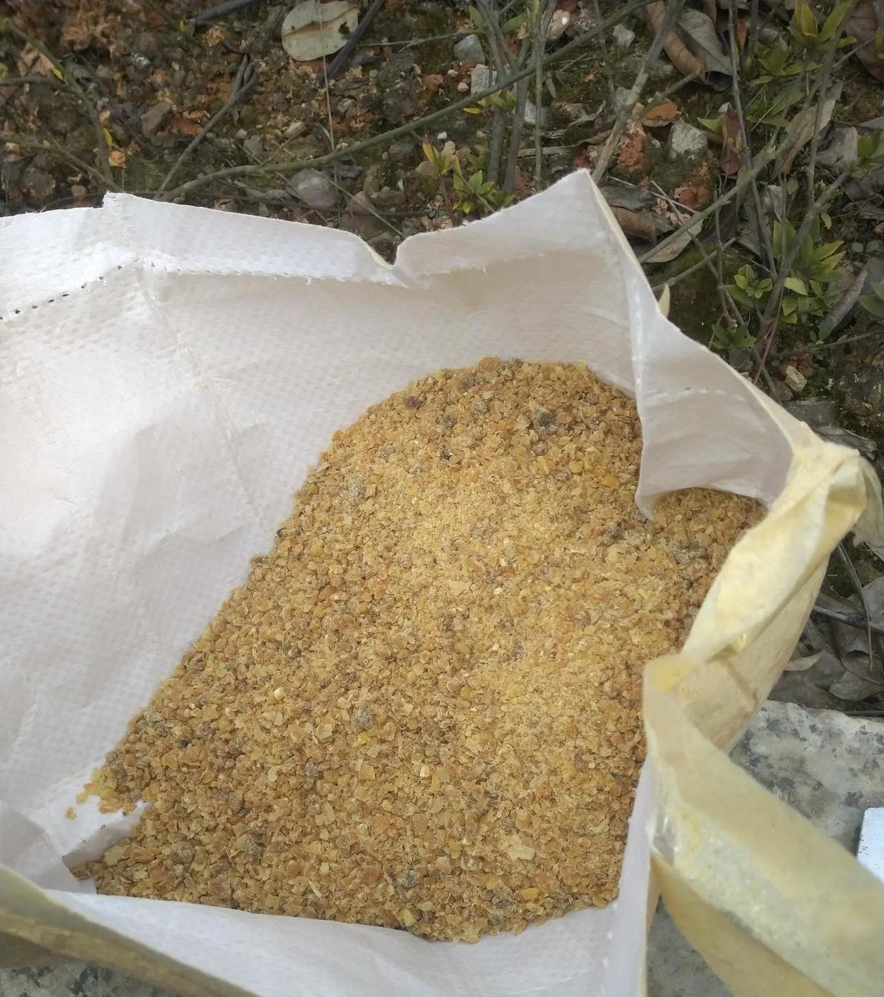 向阳园艺|老家磨坊带的“花生饼”，当成肥料用，肥效十足，养花超好用