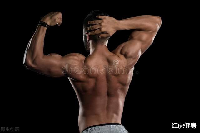健身|为什么很多经常进行大重量健身的肌肉男,反而睾酮素水平低?
