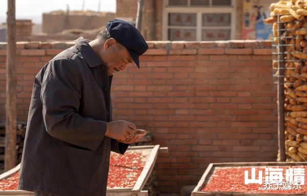何妍|把植入拍成锦上添花，带货带到快递爆仓，恐只有《山海情》能做到