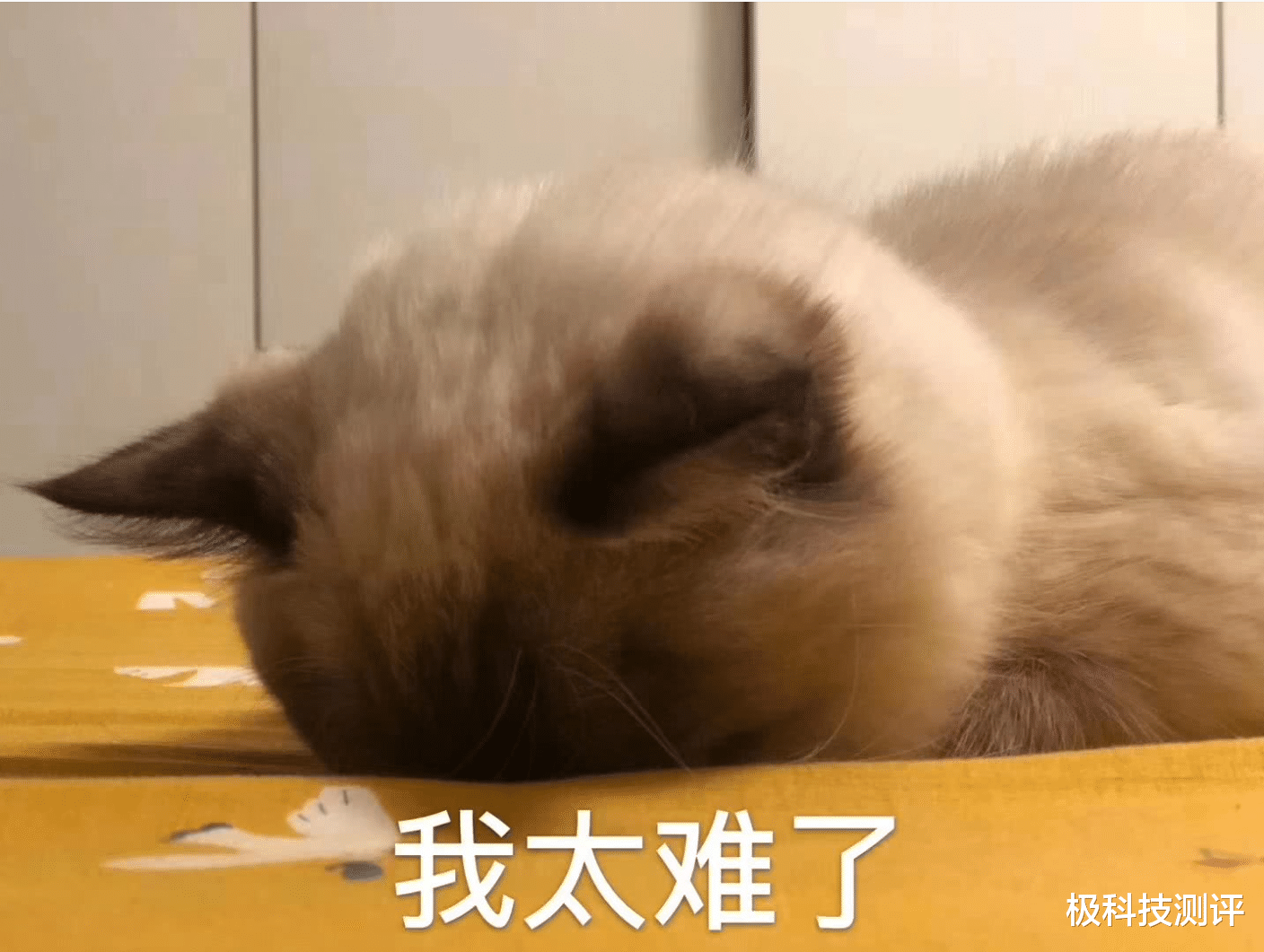 消费降级|这么多新手机问世，你为什么不愿意换新手机了？