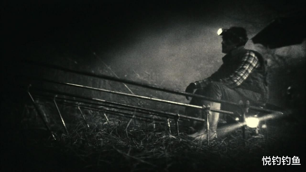 |钓鱼是晚上好钓还是白天好钓?