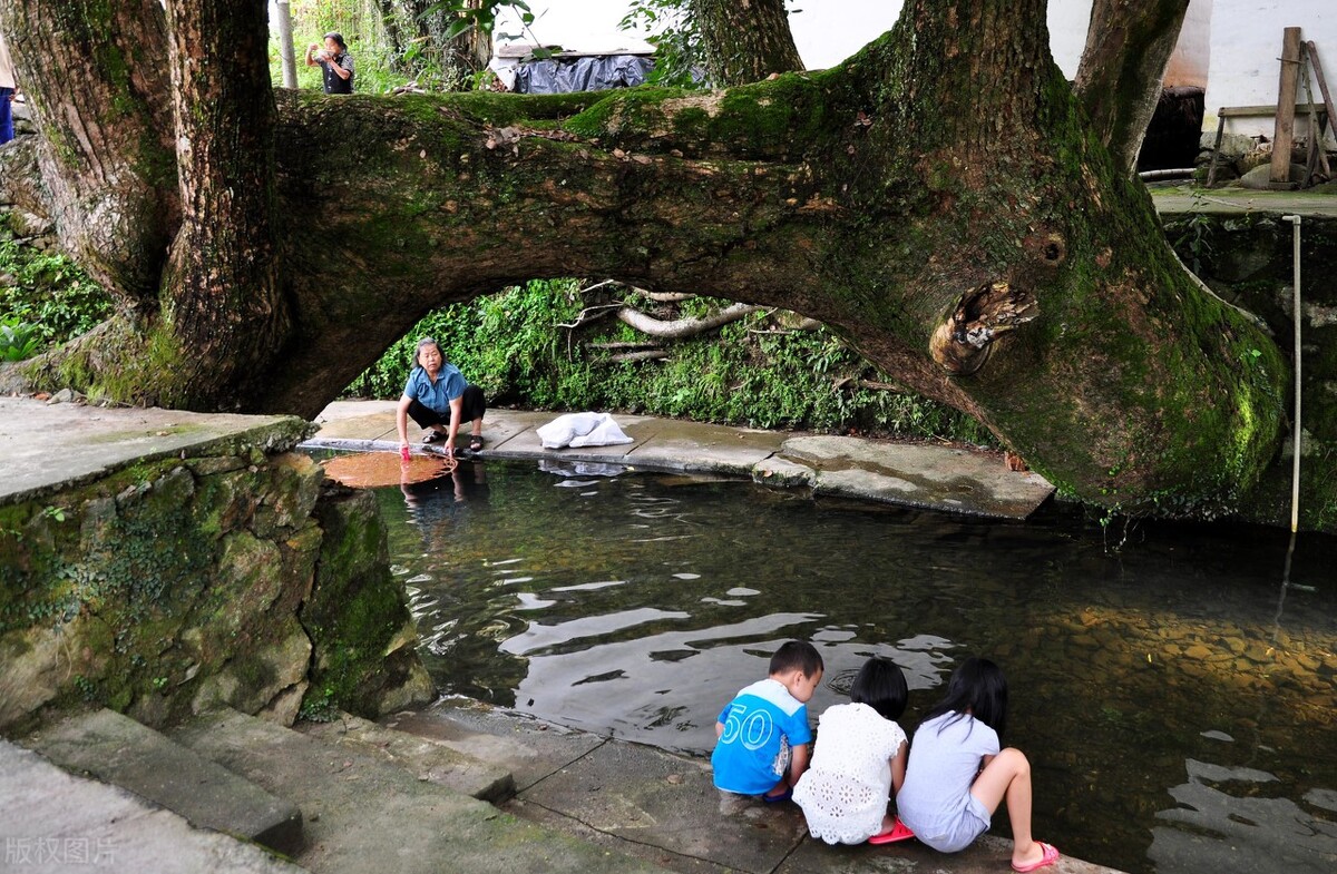西藏 永嘉：水长而美，一生不可不去的必游之地